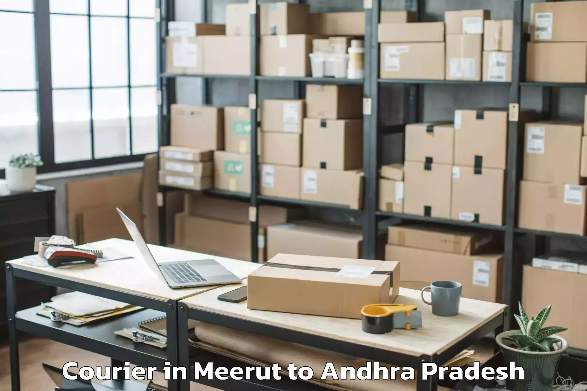 Hassle-Free Meerut to Ganguvada Courier